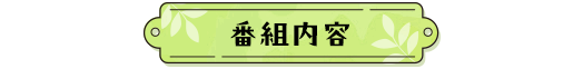 番組内容